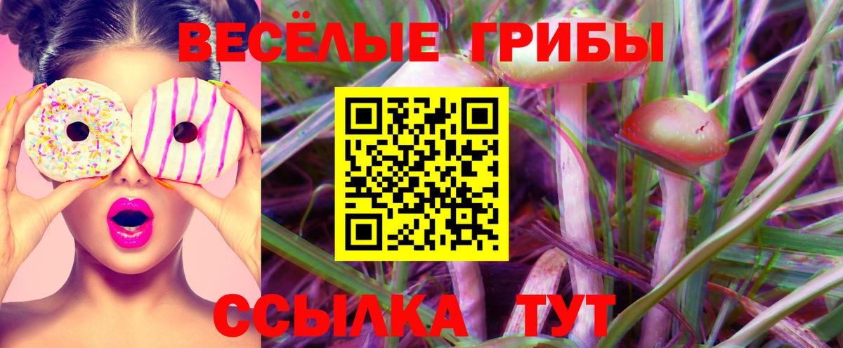 Кириши  Псилоцибиновые грибы GOLDEN TEACHER  купить   Вход с VPN 
